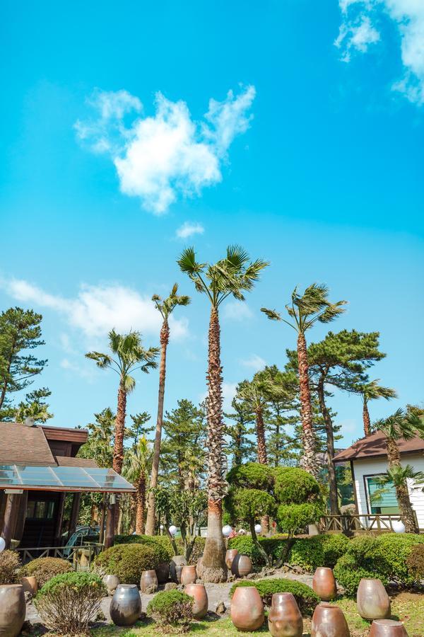 Bijarim Resort 제주 외부 사진